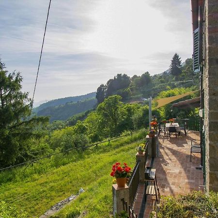 Casa Serena Villa Petrognano  Luaran gambar
