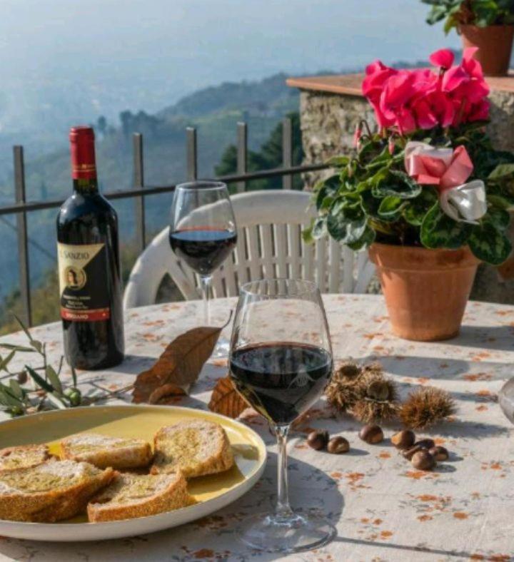 Casa Serena Villa Petrognano  Luaran gambar