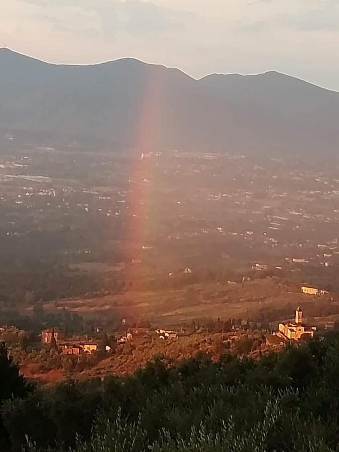 Casa Serena Villa Petrognano  Luaran gambar