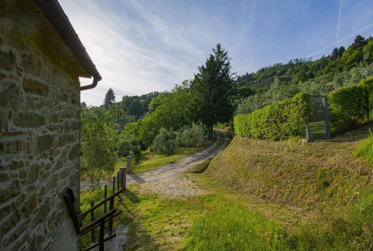 Casa Serena Villa Petrognano  Luaran gambar