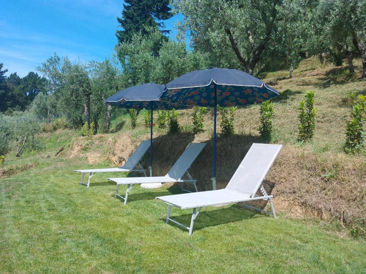 Casa Serena Villa Petrognano  Luaran gambar