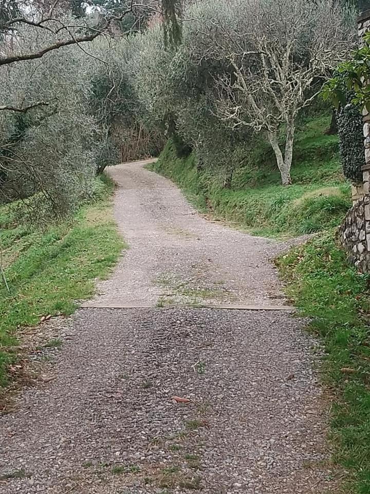 Casa Serena Villa Petrognano  Luaran gambar