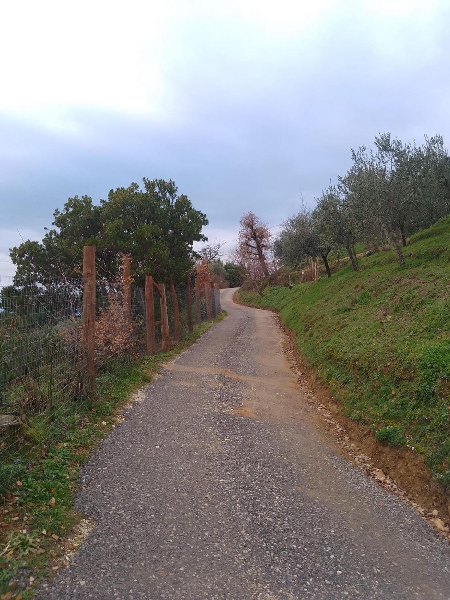 Casa Serena Villa Petrognano  Luaran gambar